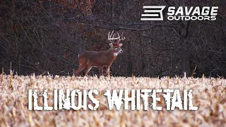 ILLINOIS STUDS with a SHOTGUN!