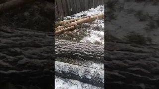 Беспредел в городском парке г. Полевской