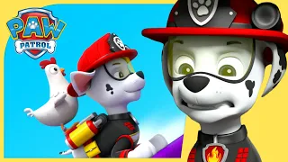 Marshall Saves a Runaway Train + More Cartoons for Kids 🚊 | PAW Patrol