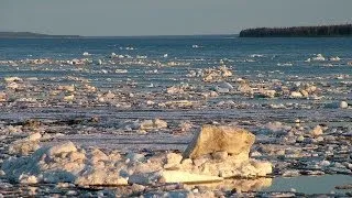 Счастливые люди | Енисей | Весна (серия 1) | Дмитрий Васюков