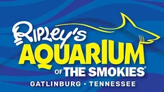 #ripleysaquarium #greatsmokymountains #subscribe #gatlinburg #touristattraction #tennessee #travel