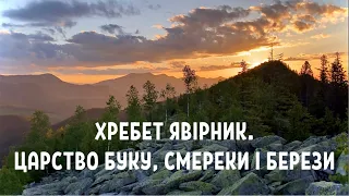 Похід на хребет Явірник. Царство буку, смереки і берези. Маршрут на Явірник-Ґорґан (1467 м.)