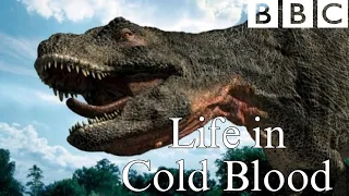 BBC, Life In Cold Blood, with clips from Walking with Dinosaurs