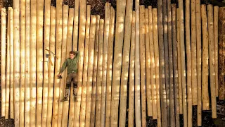 All Logs Peeled for Off Grid Log Cabin!! | 12 | - One Man Traditional Log Cabin series