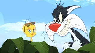 Tweety & Sylvester - "Yellow Bird" Song HD