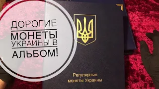 Как хранить монеты? Какой лучший альбом для монет? Альбом Коллекционер, Leuchtturm