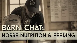 Barn Chat: HORSE NUTRITION, DIETS & FEEDING • How I Feed Horses Hay & Grain || Equestrian Vlog