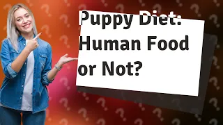 Can a 2 month old puppy eat human food?