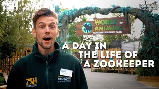 A Day In The Life Of A Zookeeper