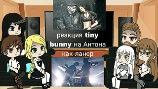 реакция tiny bunny на будущее Антона как lanner