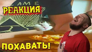 ЗАСМЕЯЛСЯ - ПОДПИСАЛСЯ!! ЛУЧШИЕ ПРИКОЛЫ 2021 ТЕСТ НА ПСИХИКУ УГАР! #419 - РЕАКЦИЯ НА СОЮЗ СМЕХА