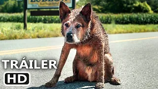 PET SEMATARY: BLOODLINES Tráiler (Terror, 2023)