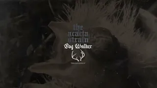 The Acacia Strain - bog walker (feat. sam sawyer) (Visualizer)