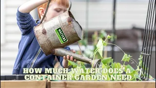 🪴How Much Water Does a New Container Garden Need to be Healthy 🪴