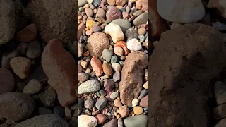 A Little Jelly Filled Lake Superior Agate! #rockhounding #beachcombing #agate #rocks