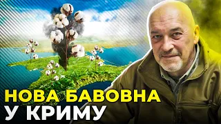 Кримчани: ТАКОГО ЩЕ НЕ БУЛО! ВИБУХИ у 4 містах / Стратегічне завдання України - ЗНИЩИТИ росію | ТУКА