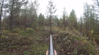 Hirvenkaato säkälle (80) Moose hunting