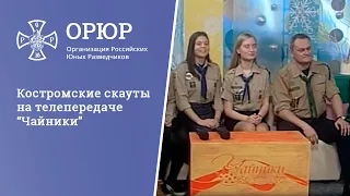 Костромские скауты на телепередаче “Чайники”