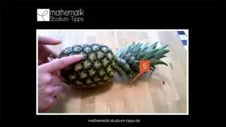 Fibonacci Ananas - Exotin mit Mathegen