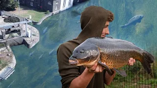 CARP FISHING IN LONDON- The Coppermill Stream! Back for the bigun...