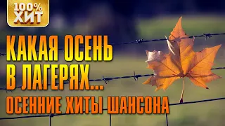 Осенние Хиты Шансона 🍂 Какая осень в лагерях 🍂 Душевные и Лирические Песни Сборник 2020