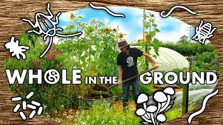 Whole in the Ground | Documentary (2024)