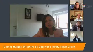 Webinar: Nueva Constitución y futuro del litio en la minería