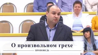 О произвольном грехе / Проповедь