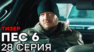 Сериал ПЕС 6 - 6 сезон - 28 серия - ТИЗЕР | СЕРИАЛЫ ICTV