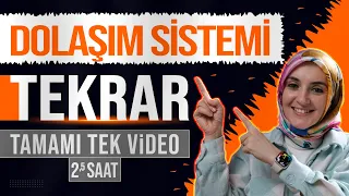 6) Dolaşım Sistemi FULL TEKRAR | 11. Sınıf Biyoloji | AYT Biyoloji Konu Anlatımı 6