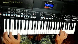 I Will Survive cover  on Yamaha PSR SX -600