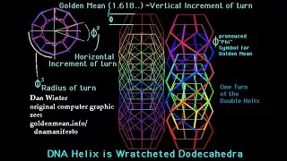 Real Physics of "Ascension" -Dan Winter-HD-Science of Ascension Conf