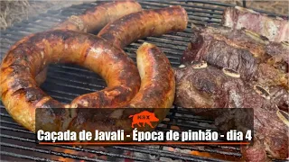 Caçada de javali - Época de pinhão - dia 4