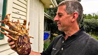 Big crayfish from a casual shore dive!