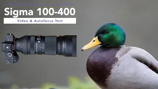 Sigma 100-400 mm F5-6,3 DG DN OS - Handheld Video, Zoom & Autofocus Test on Sony A7RIII - 4K