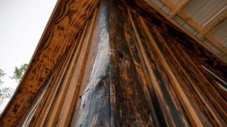 DESIGNER SLAB WOOD FOR THE OFF GRID CABIN | TIMBER FRAME LIVE EDGE TRIM & INTERIOR WORK