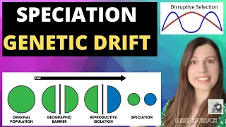 SPECIATION & GENETIC DRIFT- Disruptive selection leads to speciation (allopatric & sympatric).