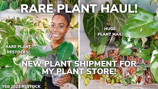 Huge Rare & Variegated Plant Haul! | Unboxing New Plant Shipment For My Online Plant Store!