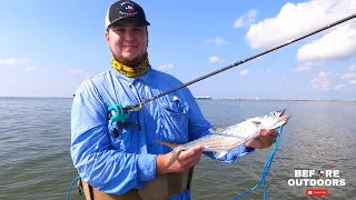 Spanish Mackerel and Speckled Trout in Galveston Surf