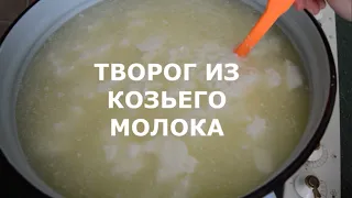 Творог из козьего молока. Как нагреть нестабильный сгусток?