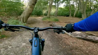MTB Epping forest 12.9.21