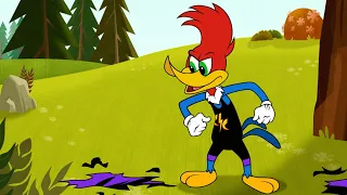 Woody the wrestler | Woody Woodpecker