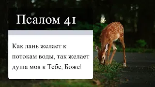 Псалом 41