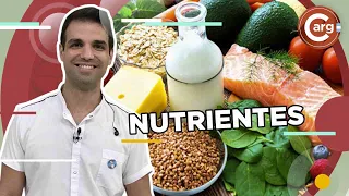 DIEGO SIVORI - NUTRIENTES