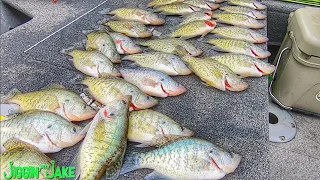 LOAD the BOAT with CRAPPIE using this Easy TECHNIQUE