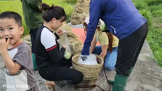 The couple went to the fields together to harvest rice and pick melons to earn extra income