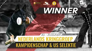 Nederlands Kringgroep kampioenschap 2024 / Ruben Romeijn / Wesco van Hamersslag / working-dog