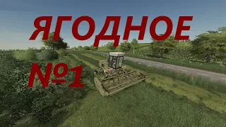 Farming Simulator 19: Ягодное №1