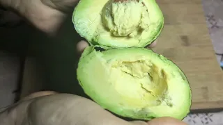 Delicious breakfast with avocado 🥑! easy and quick recipes!