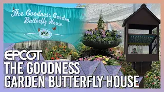 The Goodness Garden Butterfly House At The Taste of EPCOT International Flower & Garden Festival